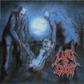 Lust of Decay - Rest In Hell (Dem)
