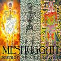 Messhuggah - Destroy Erase Improve