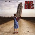 Mr. Big - Actual Size
