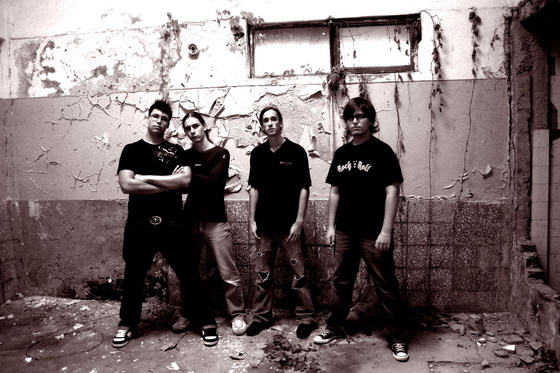 2628.nem_i_gaz.band.jpg