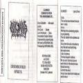 Nirvana 2002 - Disembodied Spirits (demo)