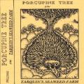 Porcupine Tree - Tarquin