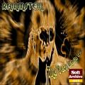 RAMMS+EIN! - The very best of Rammstein