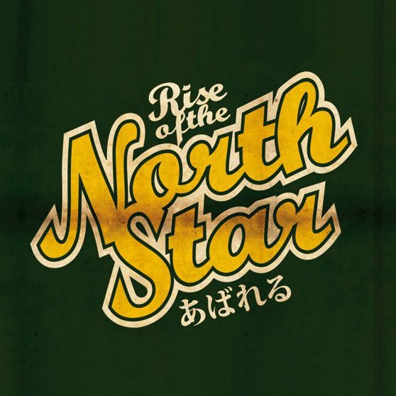 Rise Of The North Star logo