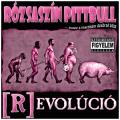 Rózsaszín Pittbull - Revolúció