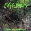 Sanatorium - Arrival of the Forgotten Ones  	