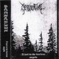 Setherial - A Hail to the Faceless Angels [Demo]