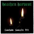 Seuchensturm - Heathen Harvest Samhain Sampler 2011 