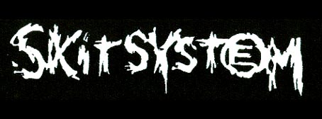 Skitsystem logo