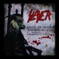 Slayer - Angel Of Death / Raining Blood (single)