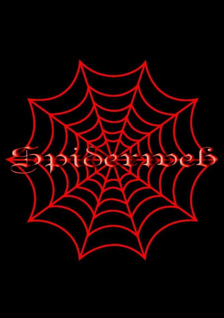 Spiderweb logo