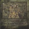 Stormfågel - Various - Pagan Folk Und Apocalyptic Psychedelia - Kapitel II