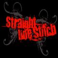 Straight Line Stitch - Everything is Nothing By Itself 