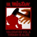 Taste My Pain - III. Mszak - Vlogats Vol. 4.: Thrash is Alive