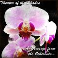 Theater of the Shades - A Messege from the Otherside
