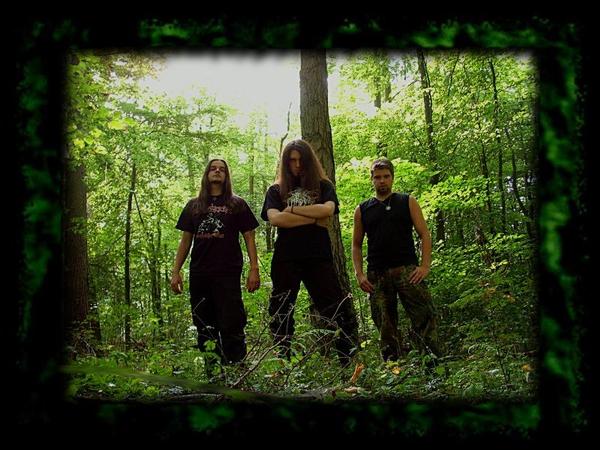 7952.timorettremor.band.jpg
