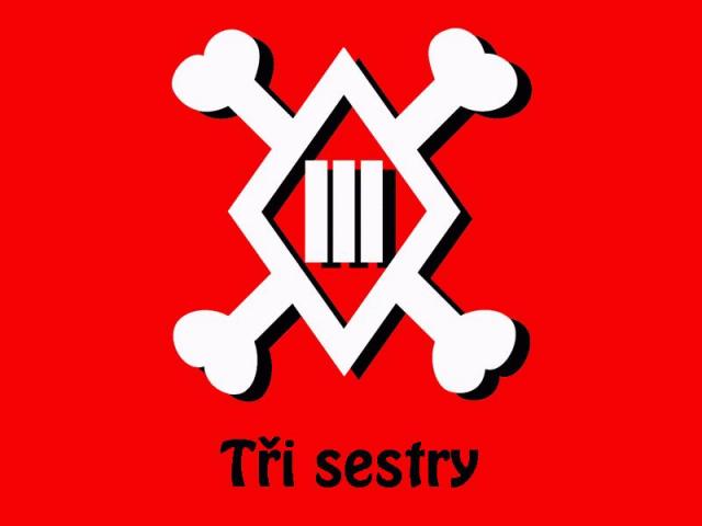 Ti sestry logo