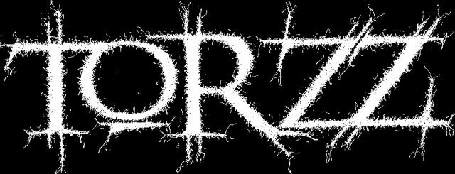 Torzz logo