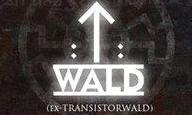 Transistorwald logo
