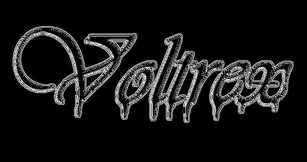 Voltrex Egyttes logo