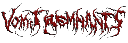 Vomit Remnants logo