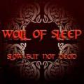 Wall of Sleep - Slow but not Dead