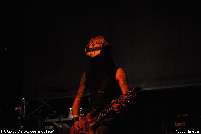  Brockolee, Dirty Dogs - Fot: Napster