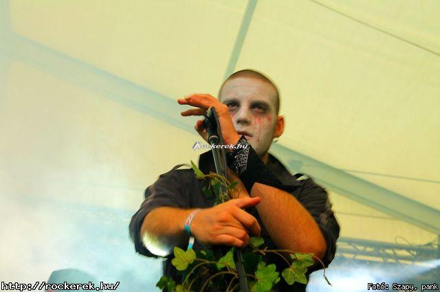  Leander Rising,  Depresszi,  Noa Rock,  Virrasztk,  Niburta,  Svartsot (DEN),  Avatar,  Perfect Symmetry - Fot: Szapy, pank