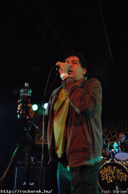  Yellow Spots,  Flash,  Timur Lenk,  Kovbojok - Fot: Sharleen