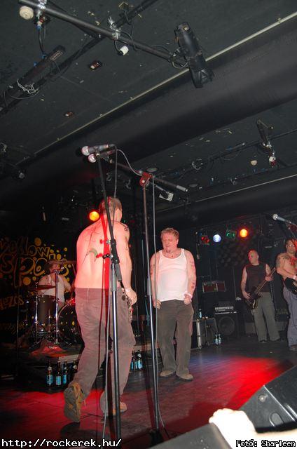  Yellow Spots,  Flash,  Timur Lenk,  Kovbojok - Fot: Sharleen