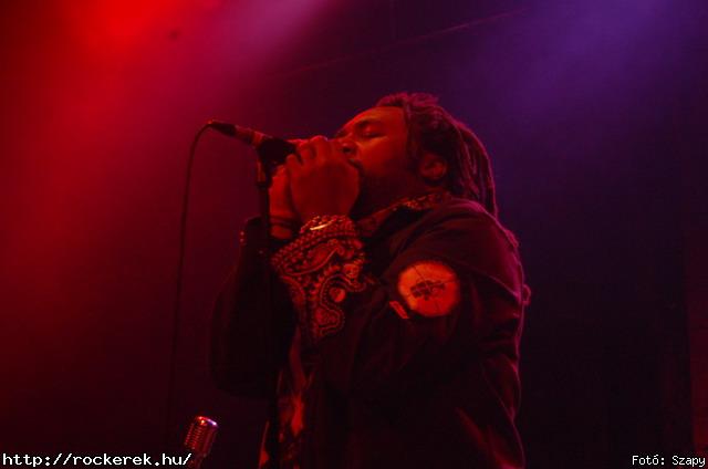  Gogol Bordello,  Skindred - Fot: Szapy