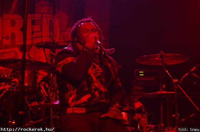  Gogol Bordello,  Skindred - Fot: Szapy