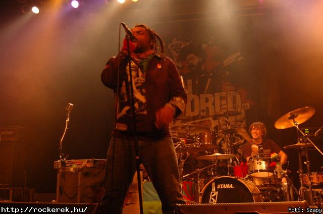  Gogol Bordello,  Skindred - Fot: Szapy