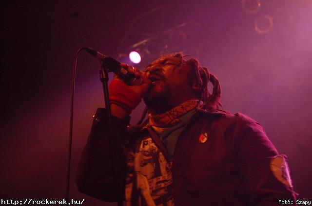  Gogol Bordello,  Skindred - Fot: Szapy