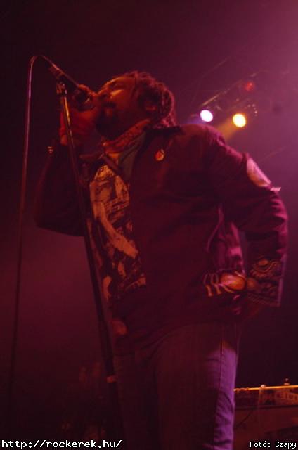  Gogol Bordello,  Skindred - Fot: Szapy