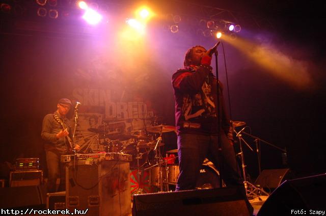  Gogol Bordello,  Skindred - Fot: Szapy
