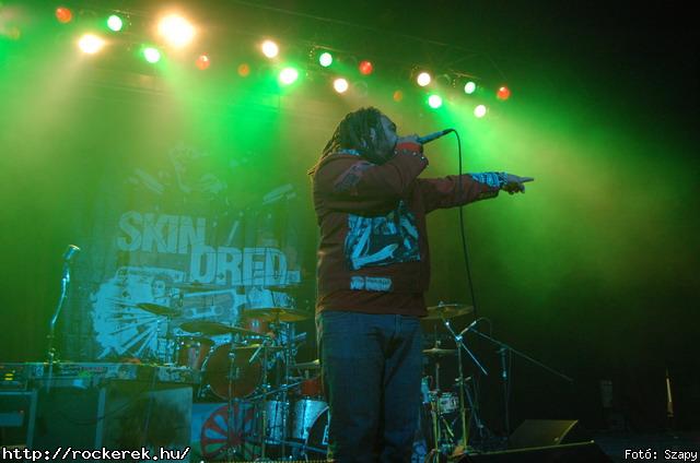  Gogol Bordello,  Skindred - Fot: Szapy