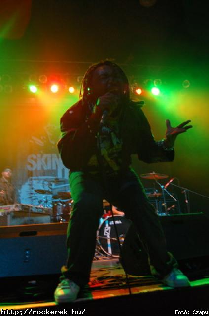  Gogol Bordello,  Skindred - Fot: Szapy