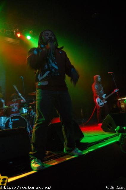  Gogol Bordello,  Skindred - Fot: Szapy