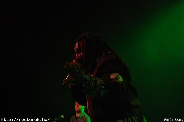  Gogol Bordello,  Skindred - Fot: Szapy