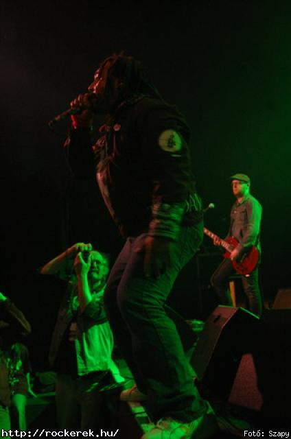  Gogol Bordello,  Skindred - Fot: Szapy