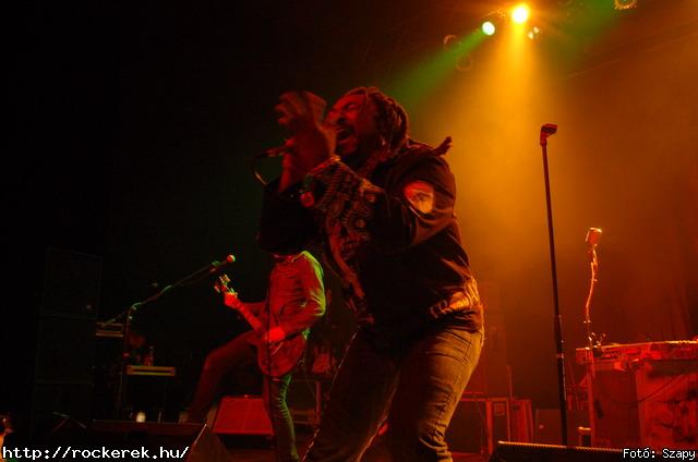  Gogol Bordello,  Skindred - Fot: Szapy