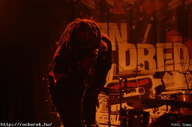  Gogol Bordello,  Skindred - Fot: Szapy