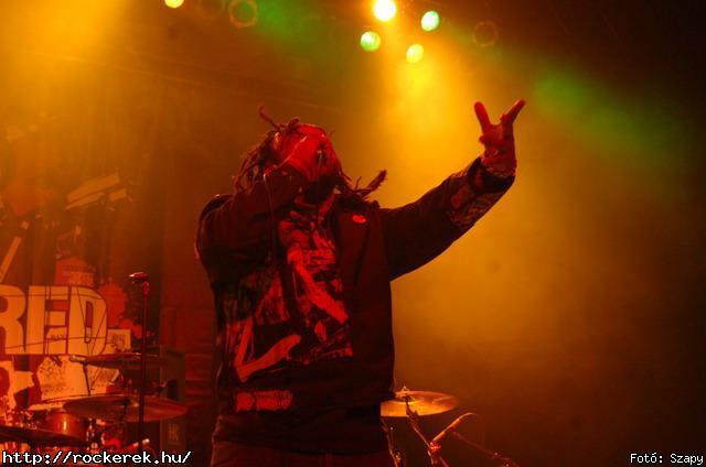  Gogol Bordello,  Skindred - Fot: Szapy