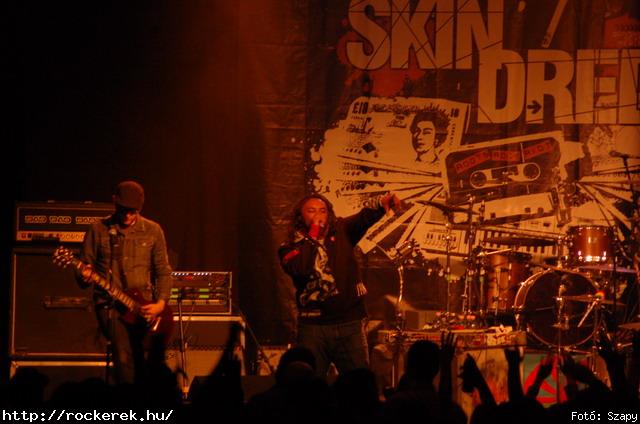  Gogol Bordello,  Skindred - Fot: Szapy
