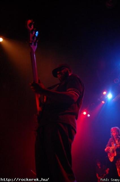 Gogol Bordello,  Skindred - Fot: Szapy