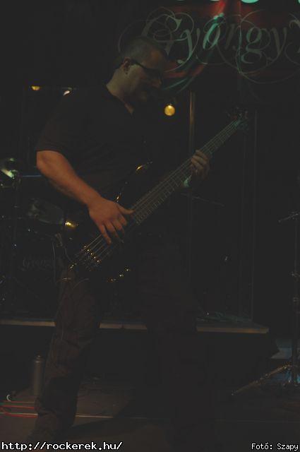  Dharma,  Gyngyvr - Fot: Szapy