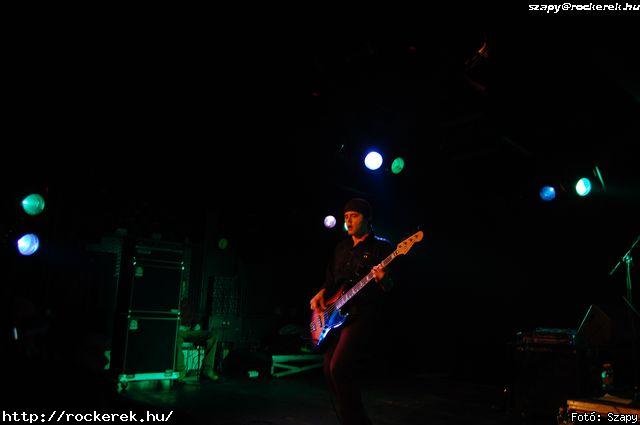 Richie Kotzen, Roy&dm Tri - Fot: Szapy