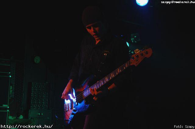  Richie Kotzen, Roy&dm Tri - Fot: Szapy