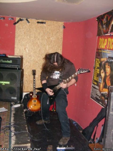  Kerecsenslyom - Fot: Brigusz
